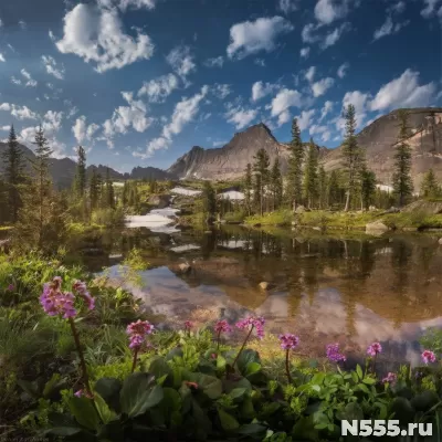 Водитель ВС
